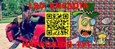 стаф Кинель