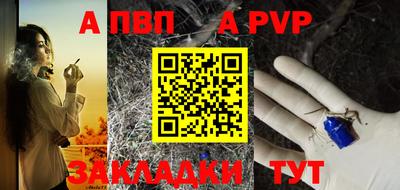 стаф Кинель
