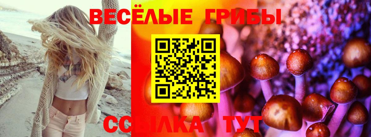 Псилоцибиновые грибы GOLDEN TEACHER Коряжма